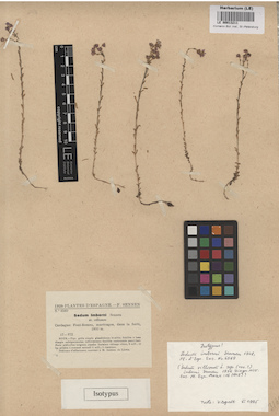LE 00013211