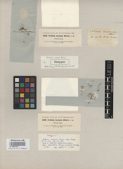 LE 00013221