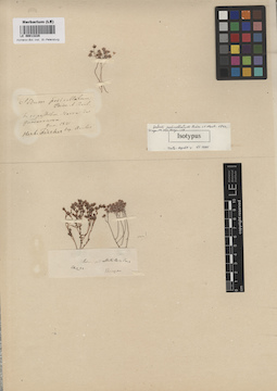 LE 00013228