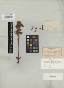 LE 00013258