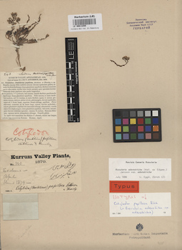 LE 00013259