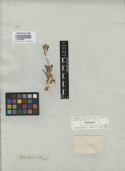 LE 00013260