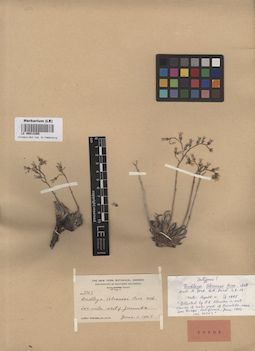 LE 00013265