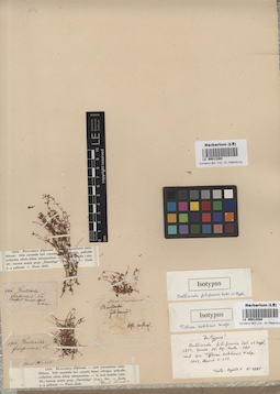 LE 00013304