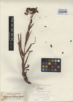 LE 00013307