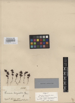 LE 00013312