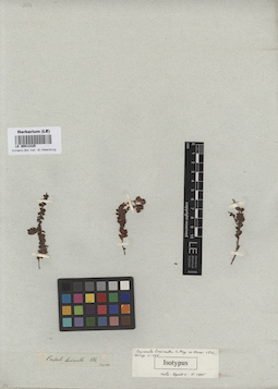 LE 00013325