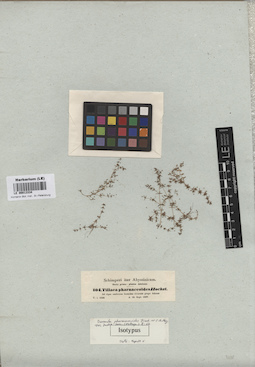 LE 00013334