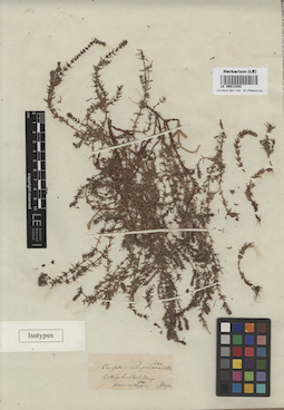 LE 00013342