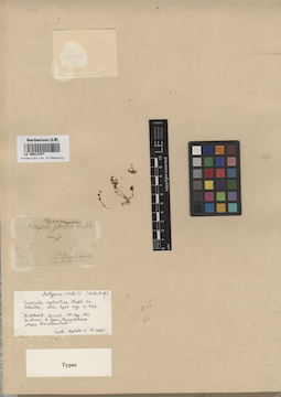 LE 00013347