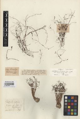 LE 00013350