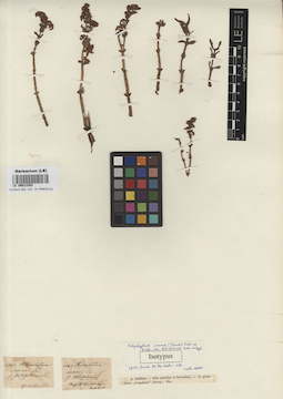 LE 00013352