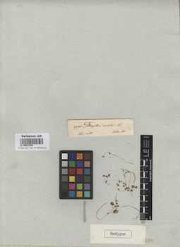LE 00013354