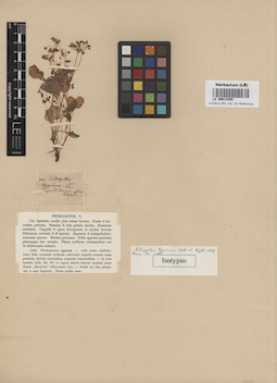 LE 00013355
