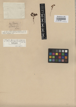 LE 00013362