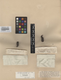 LE 00013380