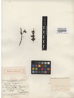 LE 00013461