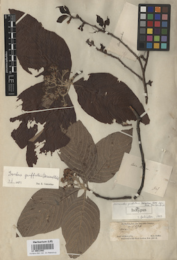 LE 00013492