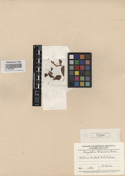 LE 00013624