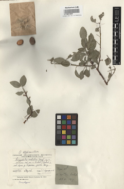 LE 00013626