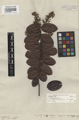 LE 00013660