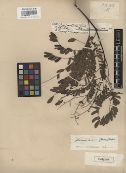 LE 00013672