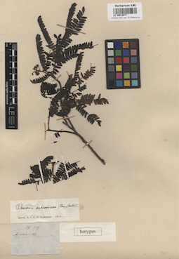 LE 00013677