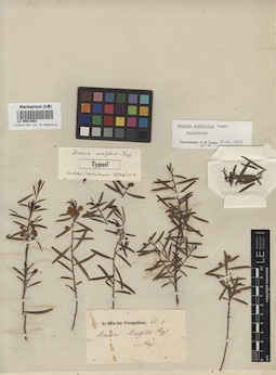 LE 00013681