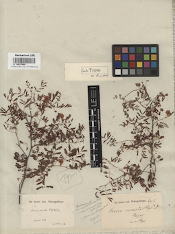 LE 00013689