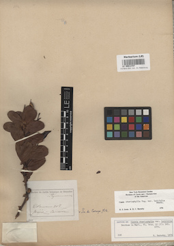 LE 00013707