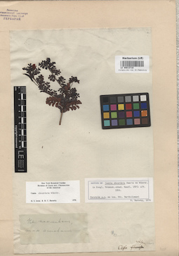 LE 00013710