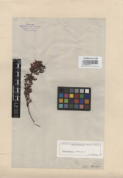 LE 00013711