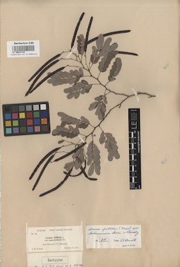 LE 00013716