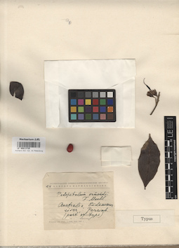 LE 00013725