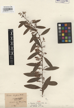 LE 00013736