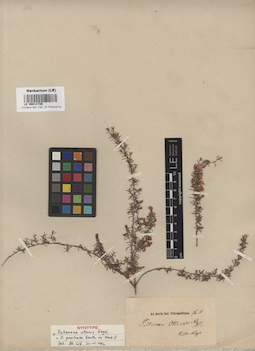 LE 00013739