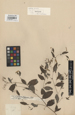 LE 00013749
