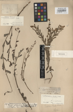 LE 00013754