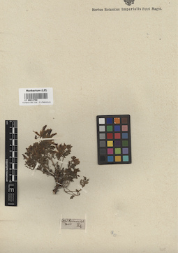 LE 00013760