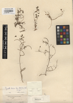 LE 00013766