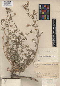 LE 00013775