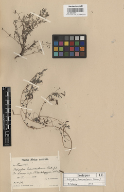LE 00013804