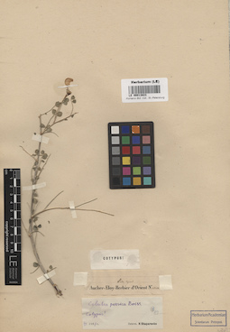 LE 00013823