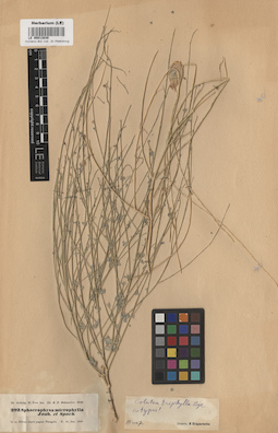 LE 00013830