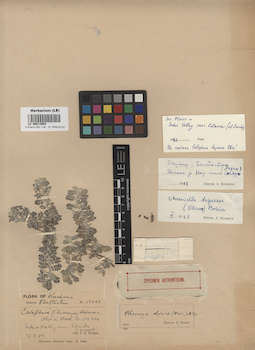 LE 00013853