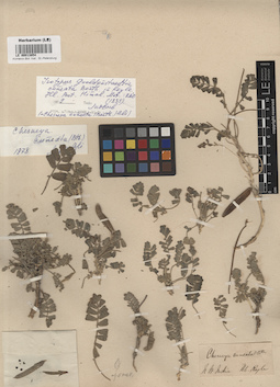 LE 00013854