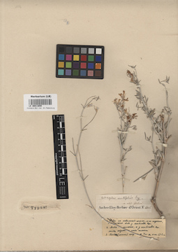 LE 00013859