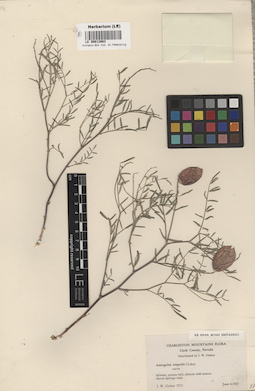 LE 00013863
