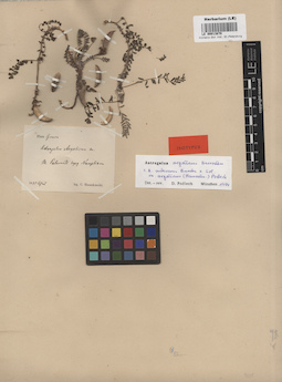 LE 00013870