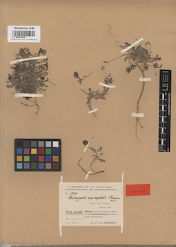 LE 00013876